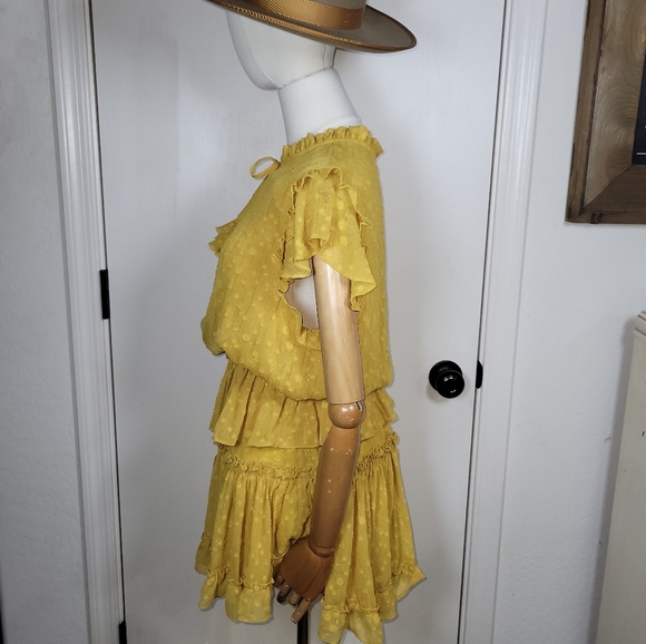 MISA Yellow Polka Dot Ruffle Tiered V-Neck Mini Dress Size Small - Picture 8 of 13